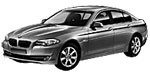 BMW F10 C20AD Fault Code